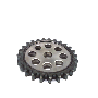 Engine Timing Sprocket